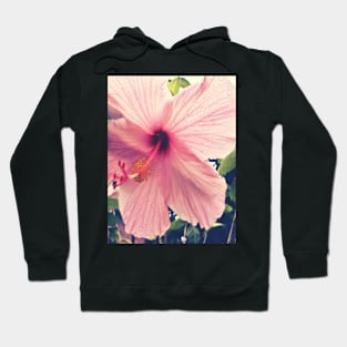 Hibiscus in the Rain Hoodie